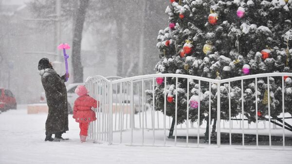 Горожане во время снегопада возле новогодней елки. Архивное фото - Sputnik Кыргызстан