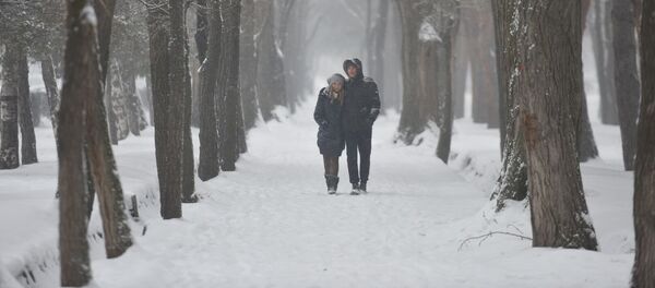 Снегопад в Бишкеке - Sputnik Кыргызстан