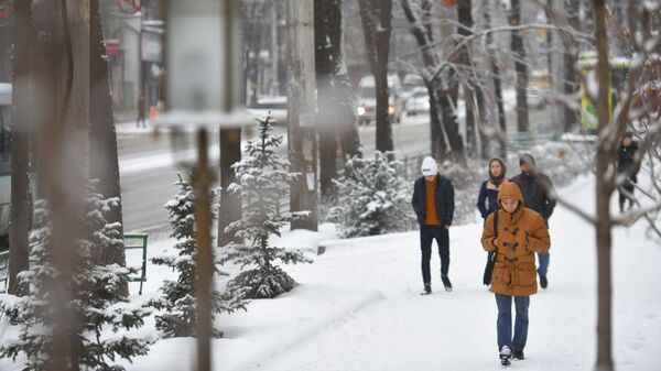 Горожане во время снегопада в Бишкеке. Архивное фото - Sputnik Кыргызстан