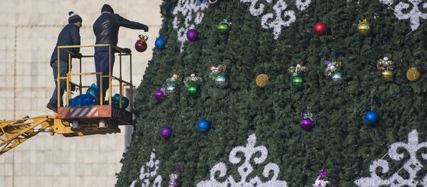 Установка главной елки страны на площади Ала-Тоо - Sputnik Кыргызстан
