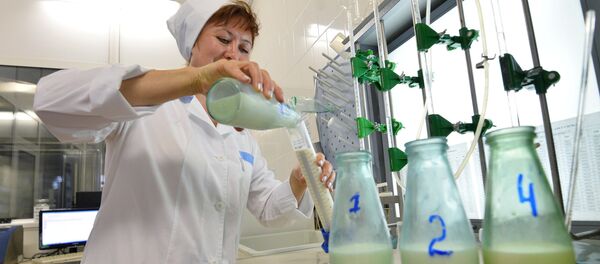 Первичный анализ молока в городском молочном комбинате. - Sputnik Кыргызстан