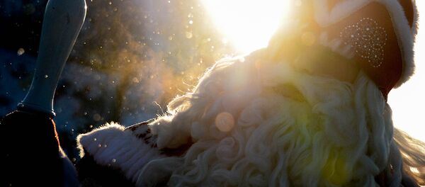 Дед Мороз. Архивное фото - Sputnik Кыргызстан