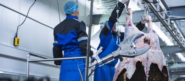 Мал сойуучу жай. Архив Мал сойуучу жай. Архив - Sputnik Кыргызстан