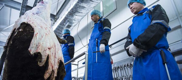 Работа скотобойного цеха “Торо” - Sputnik Кыргызстан