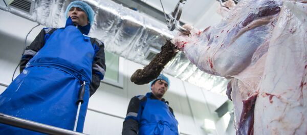 Скотобойный цех. Архивное фото - Sputnik Кыргызстан