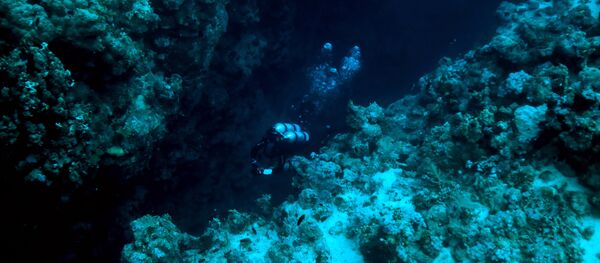 Океан. Архив Океан. Архив - Sputnik Кыргызстан