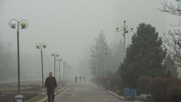 Прохожие в туманную погоду в Бишкеке. Архивное фото - Sputnik Кыргызстан