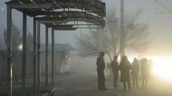 Люди стоят на остановке. Архивное фото - Sputnik Кыргызстан