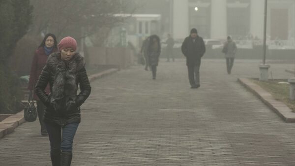 Бишкектеги туман. Архивдик сүрөт - Sputnik Кыргызстан