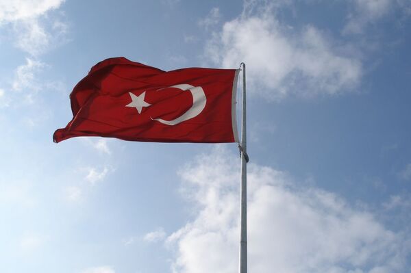 Государственный флаг Турции. Архивное фото - Sputnik Кыргызстан