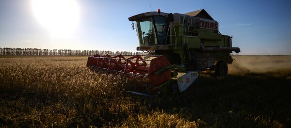 Уборка урожая зерна. Архивное фото - Sputnik Кыргызстан