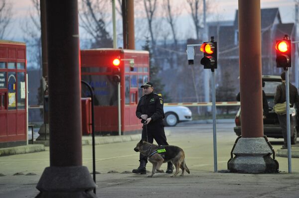 Сотрудник полиции Молдовы с собакой прочесывает улицу. Архивное фото - Sputnik Кыргызстан