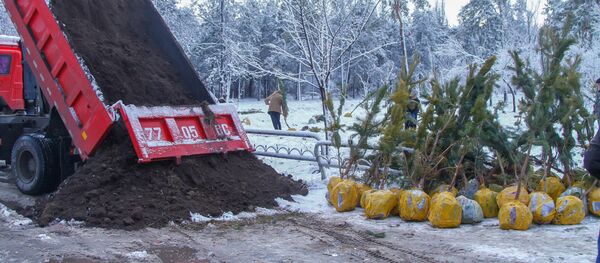 Посадка саженцев в парке Ата-Тюрк - Sputnik Кыргызстан