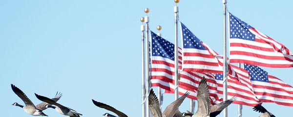 Флаг США - Sputnik Кыргызстан