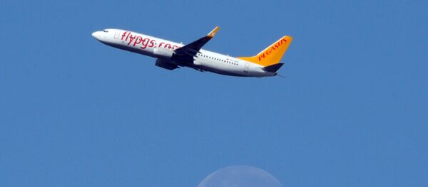 Түркиялык Pegasus авиакомпаниясынын учагы. Архив Түркиялык Pegasus авиакомпаниясынын учагы. Архив - Sputnik Кыргызстан