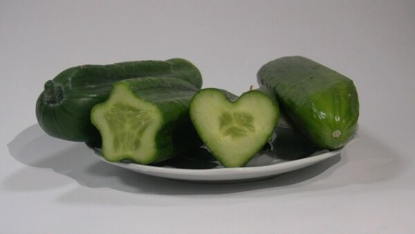 Огурцы-арбузы появятся в Бишкеке, обещает создатель овощей в форме сердец - Sputnik Кыргызстан