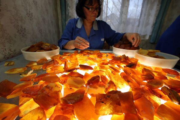 Сортировка янтарных камней. Архивное фото - Sputnik Кыргызстан