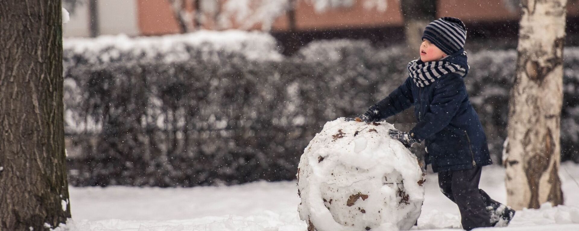 Снег в Бишкеке - Sputnik Кыргызстан, 1920, 26.02.2026