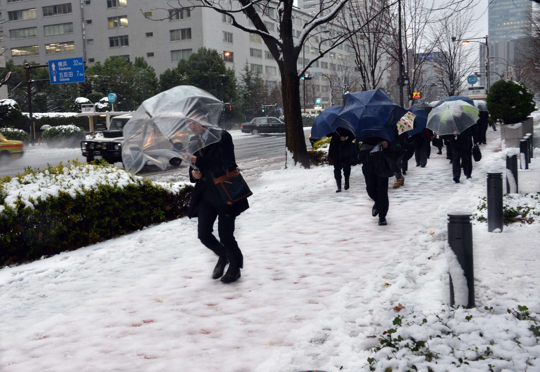 В япреии рекордные снегопад
