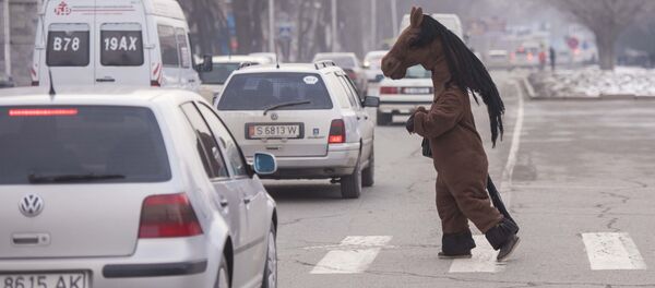 Жылкынын костюмун кийген адамд. Архив - Sputnik Кыргызстан