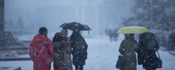 Жители Бишкека во время снегопада на аллее Молодежи. Архивное фото - Sputnik Кыргызстан