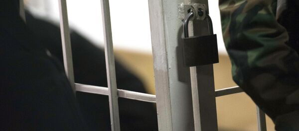 Замок на железном дверце во время рассмотрения дела в суде. Архивное фото - Sputnik Кыргызстан