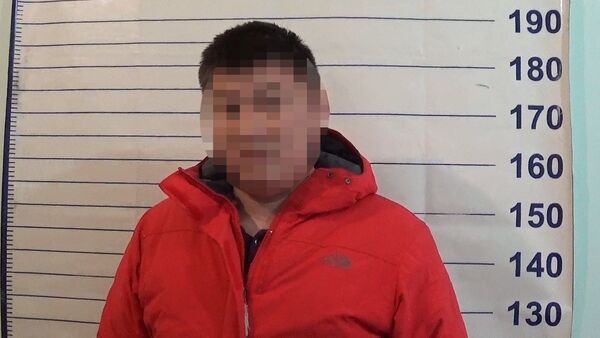 Версия задержанного: сотрудник ДПС сам запрыгнул на капот и я испугалс - Sputnik Кыргызстан