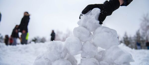 Снежная битва в парке имени Даира Асанова Снежная битва в парке имени Даира Асанова - Sputnik Кыргызстан
