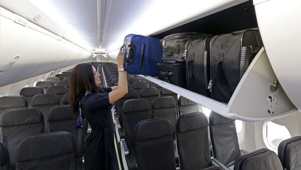 Стюардесса кладет багаж на полку. Архивное фото - Sputnik Кыргызстан