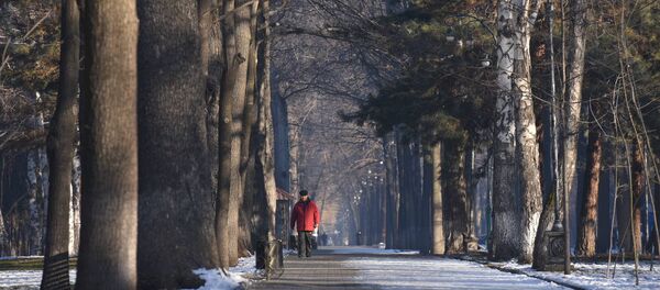 Прохожий на одном из бульваров Бишкека. Архивное фото - Sputnik Кыргызстан