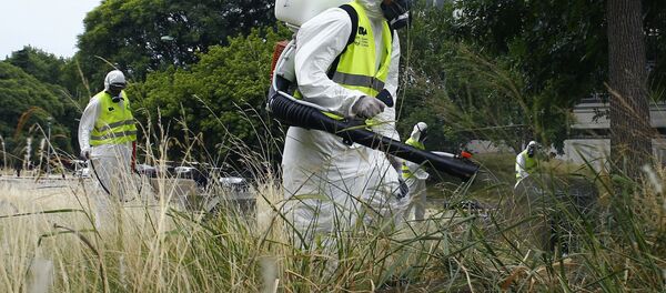 Зика вирусун тараткан чиркейлерди жок кылуу. Архив - Sputnik Кыргызстан