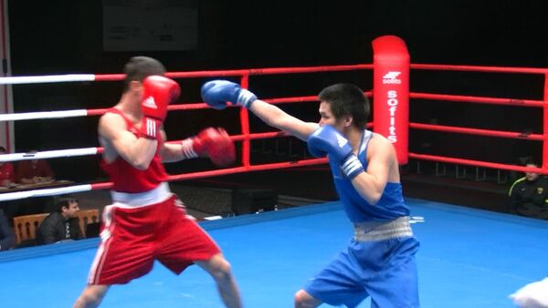 Удар за ударом и контрприем — международный турнир по боксу в Бишкеке - Sputnik Кыргызстан
