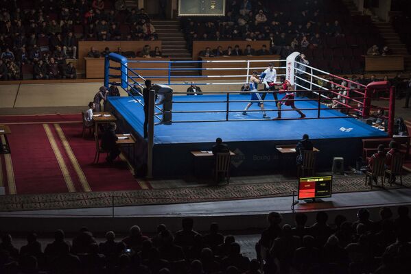 Международный турнир по боксу в Бишкеке - Sputnik Кыргызстан