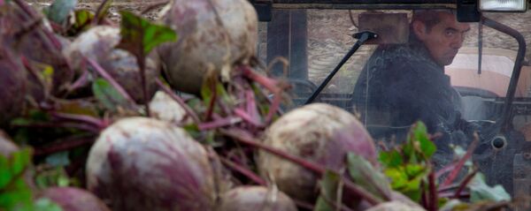 Кызылча. Архив - Sputnik Кыргызстан