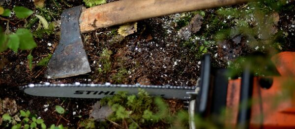 Топор и бензопила. Архивное фото - Sputnik Кыргызстан