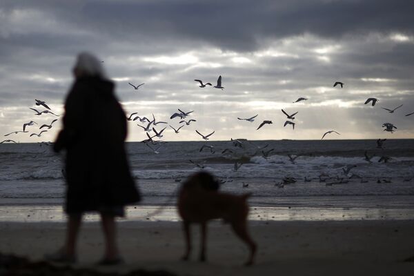 Женщина с собакой на берегу моря в городе Порнише, Франция. - Sputnik Кыргызстан