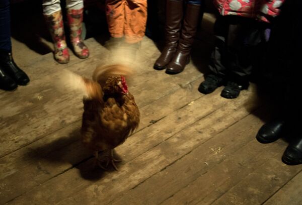 Праздник Васильев вечер в Великом Новгороде - Sputnik Кыргызстан