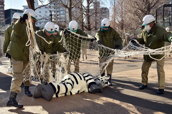 Токиодогу зоопаркта качып кеткен жаныбарларды кармоо боюнча окуу өттү - Sputnik Кыргызстан