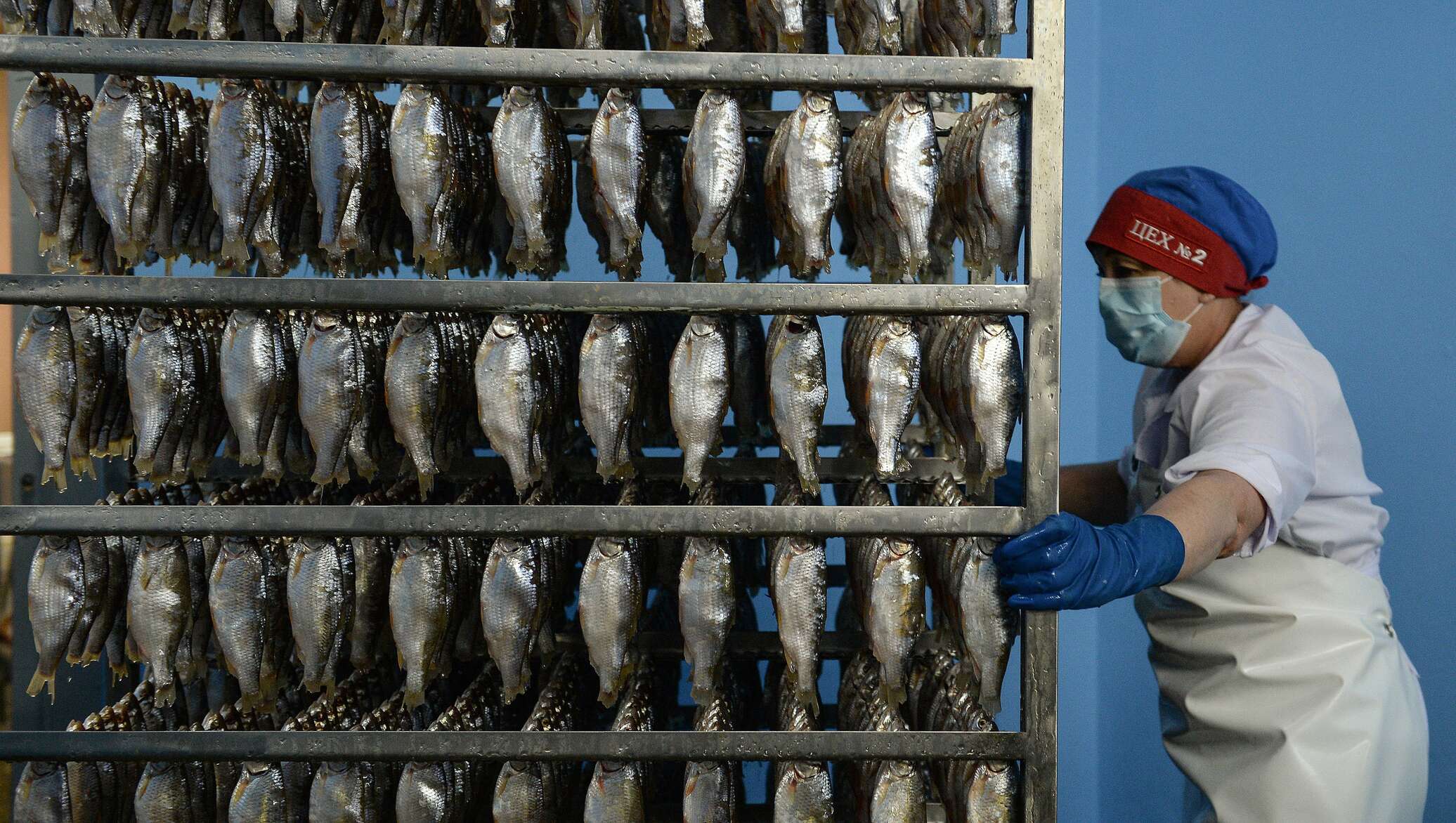 Рыбное производство. Рыбное хозяйство цех. Продукция рыбоводства. Рыбное хозяйство в Кыргызстане. Производство рыбной продукции.