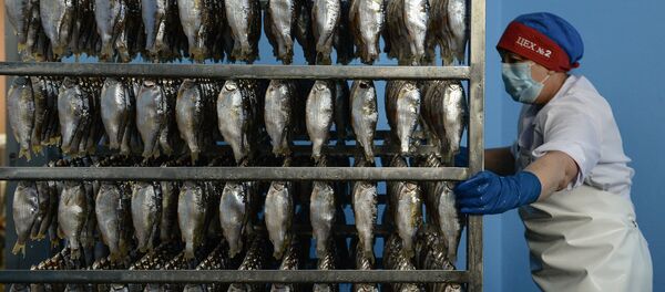 Перерабатывающий рыбозавод группы компаний Камшат в Новосибирске - Sputnik Кыргызстан