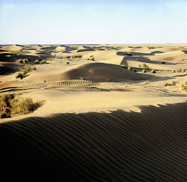 В песках пустыни Кызылкум в Узбекистане. Архивное фото - Sputnik Кыргызстан