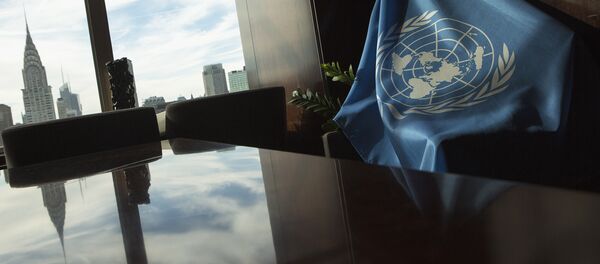 БУУнун желеги. Архив - Sputnik Кыргызстан