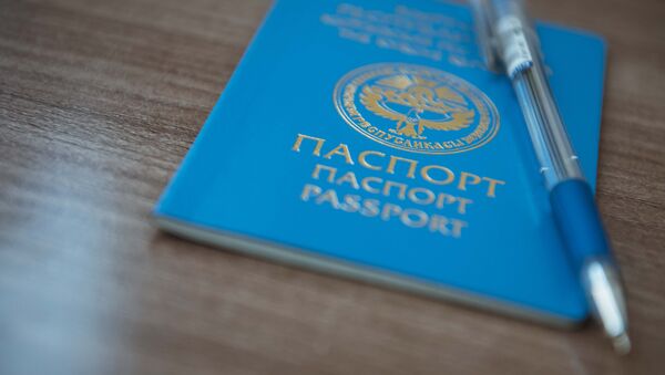 Паспорт гражданина Кыргызстана с ручкой. Архивное фото - Sputnik Кыргызстан