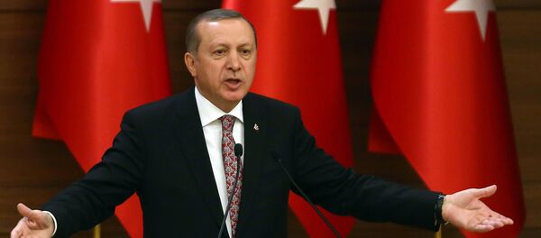 Түркиянын президенти Режеп Тайип Эрдоган. Архив - Sputnik Кыргызстан