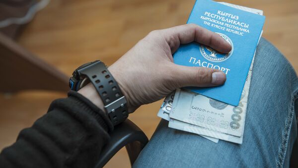 Паспорт старого образца гражданина КР - Sputnik Кыргызстан