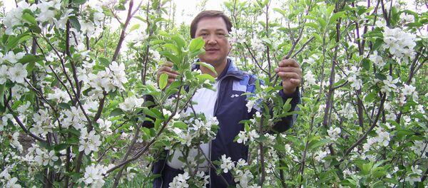 КРдин Эл артисти, улуттук филармониянын мурдагы жетекчиси, аты узун элдин учуна тараган тенор үндүү опера ырчысы Керим Тураповдун архивдик сүрөтү - Sputnik Кыргызстан