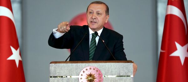 Президент Турции Тайып Эрдоган. Архивное фото - Sputnik Кыргызстан