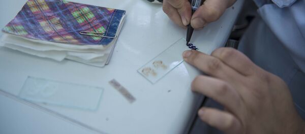 Экспертиза. Архив - Sputnik Кыргызстан