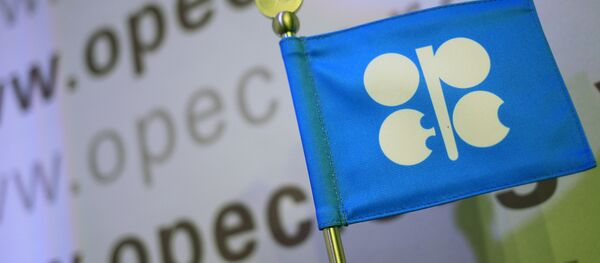 Флаг ОПЕК. Архивное фото - Sputnik Кыргызстан