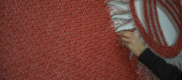 Кыргызстандын желегин жиптен тартып жаткан кыз - Sputnik Кыргызстан